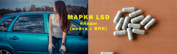 ГАЛЛЮЦИНОГЕННЫЕ ГРИБЫ Костерёво