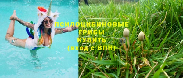 соль ск Алексин