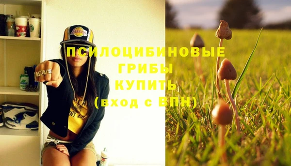 прущая мука Абаза