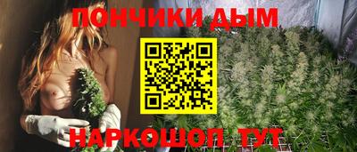 гидропоника Заводоуковск