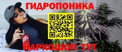 гидропоника Заводоуковск