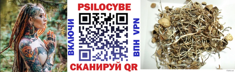 Галлюциногенные грибы Cubensis  kraken как зайти  Кингисепп 
