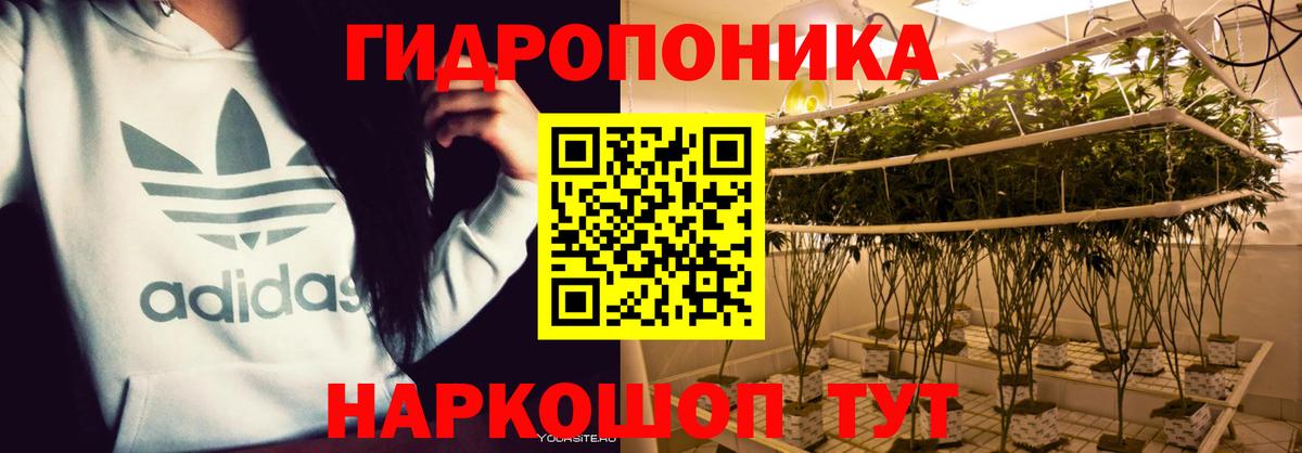 МАРИХУАНА гибрид Кингисепп